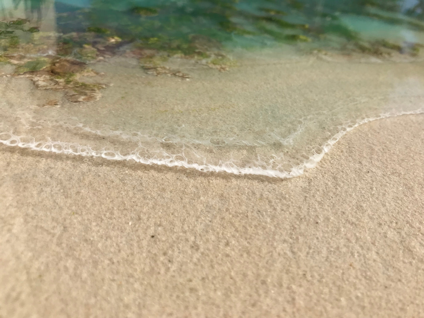 Secret Life - 24" x 48"