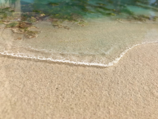 Secret Life - 24" x 48"