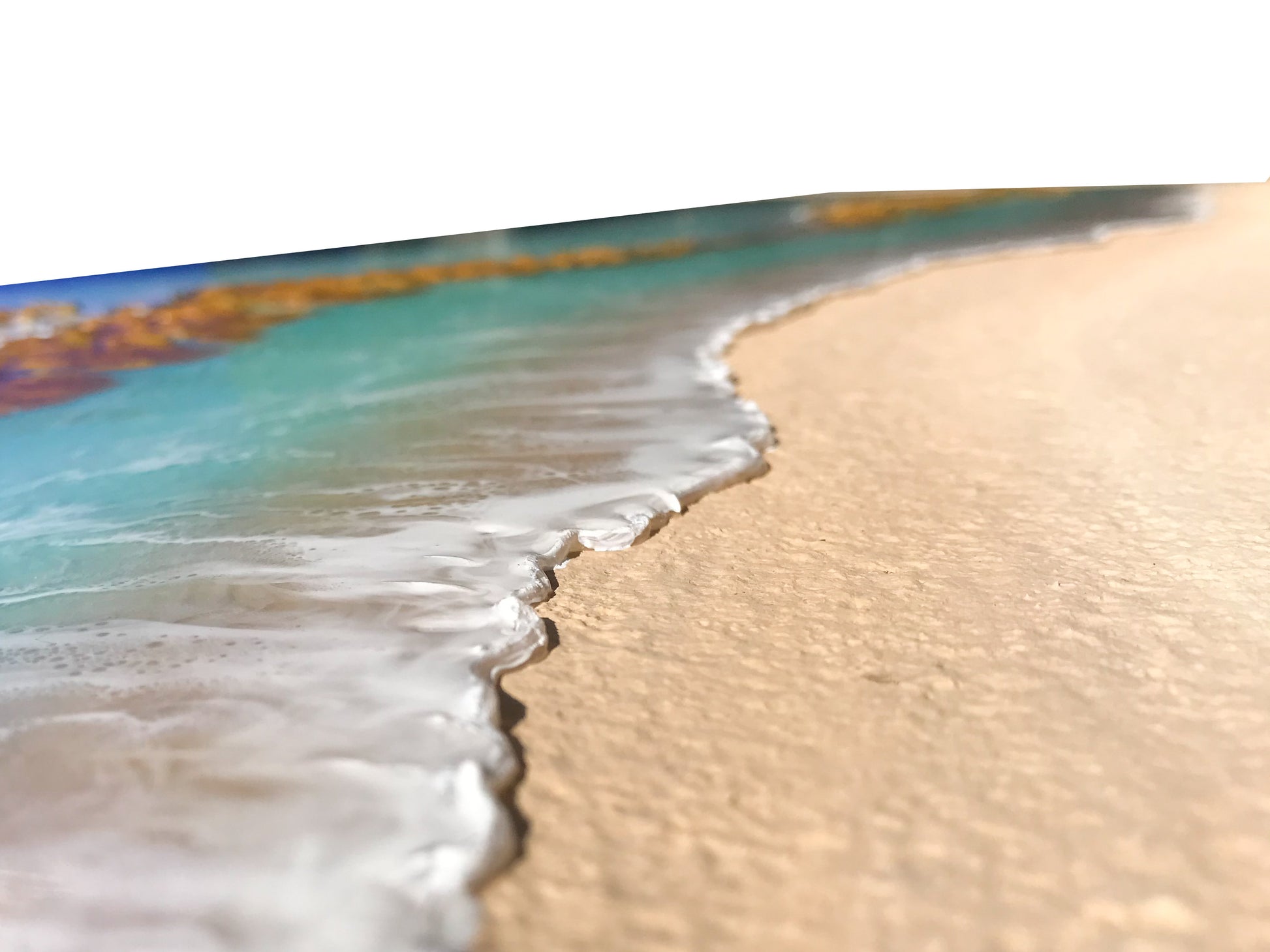 Ship Wreck - 48" x 24"